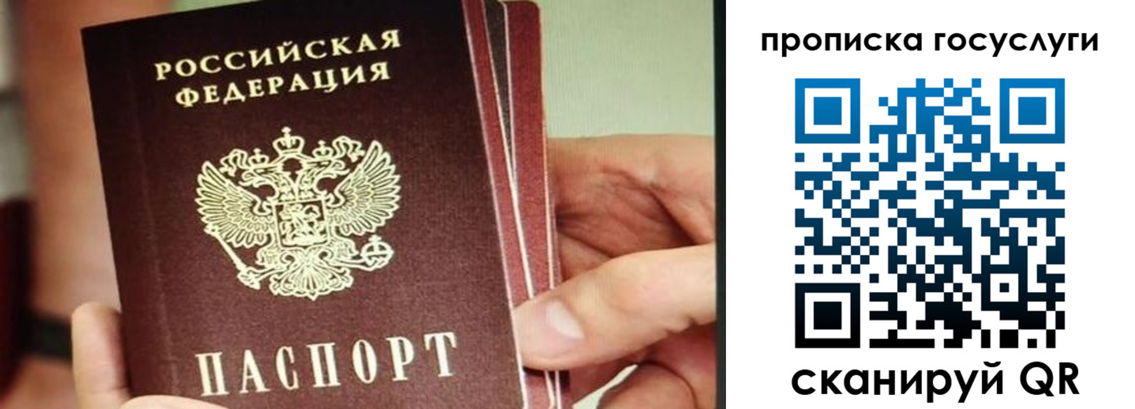 пропишу в квартире в Видном